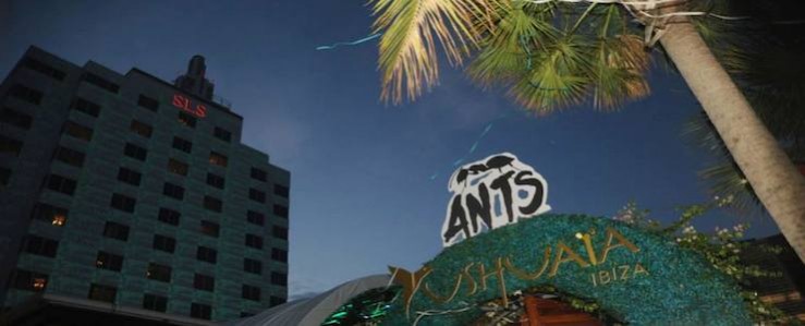 Ants Miami Feature
