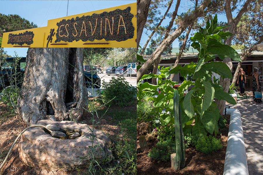Es Savina Cala Jondal