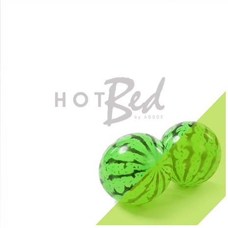 Hotbed Opening Party
