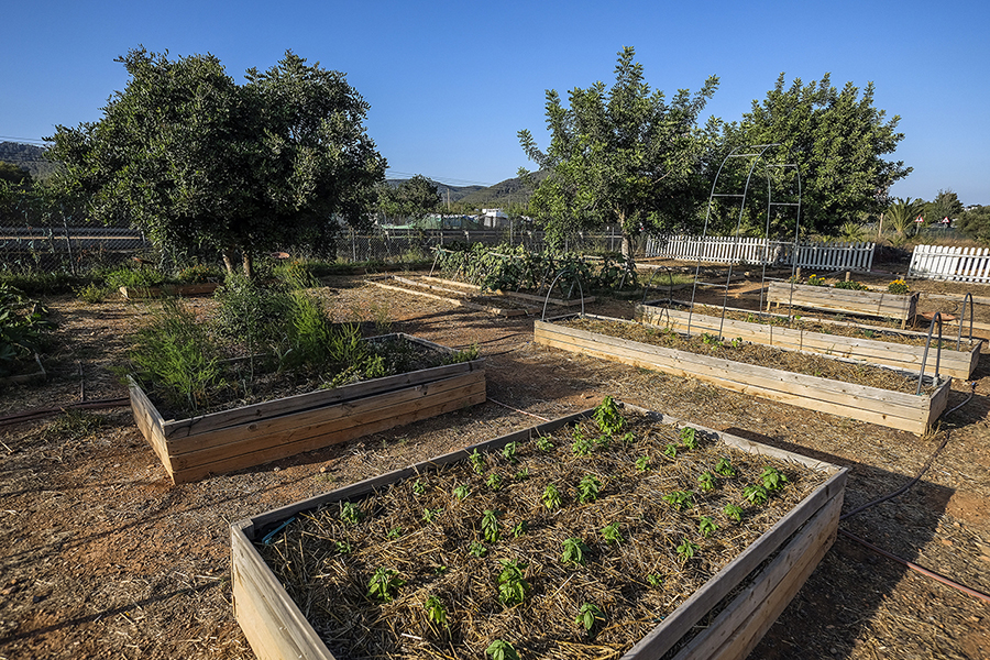 Cas Costas Gardener Essentialibiza 2019 By La Skimal005
