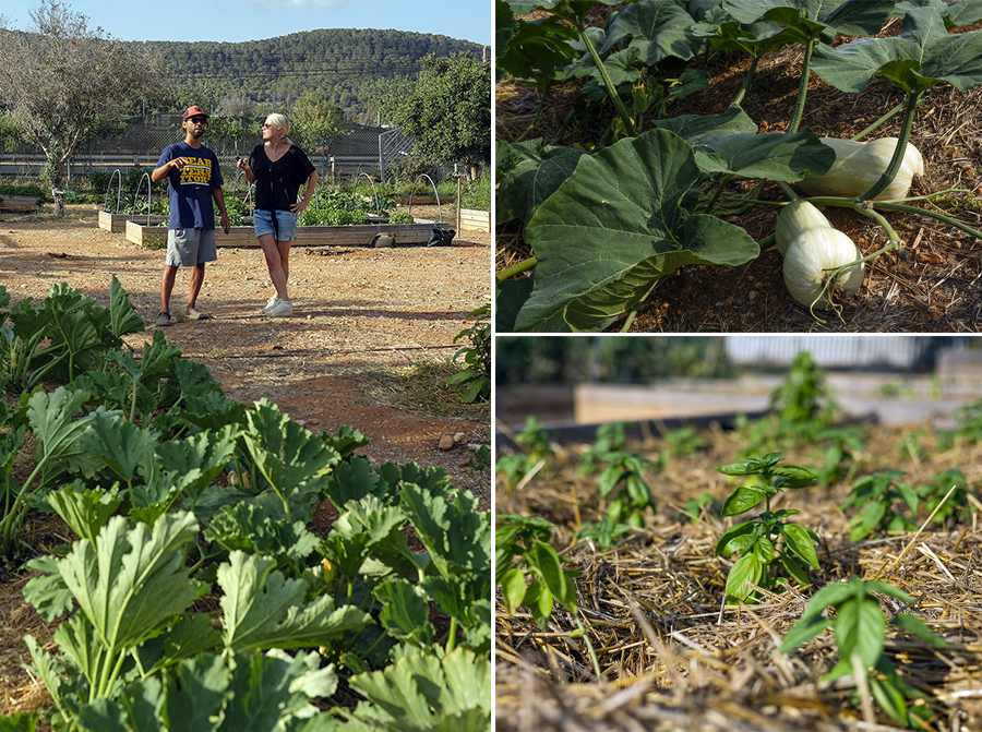 Cas Costas Gardener Essentialibiza 2019 By La Skimal006