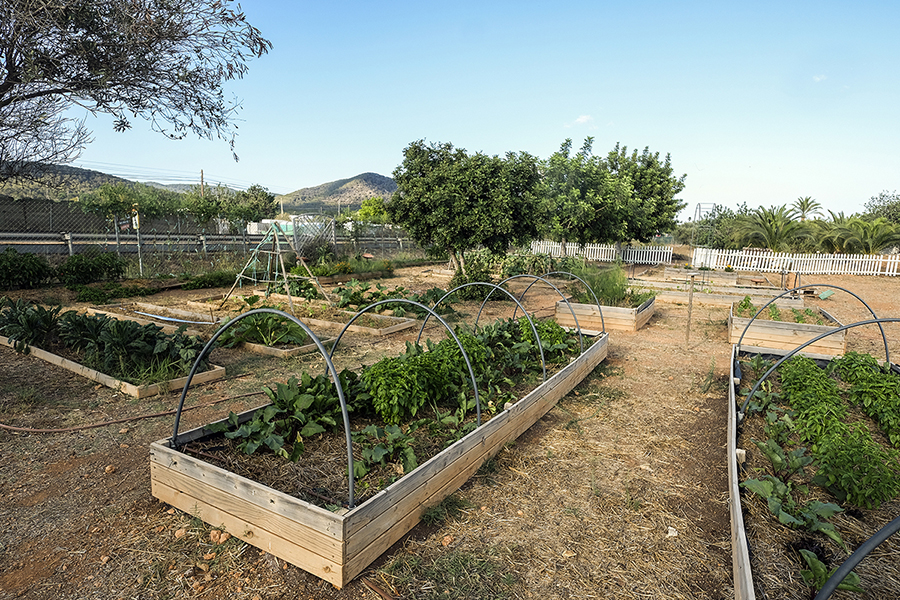 Cas Costas Gardener Essentialibiza 2019 By La Skimal015