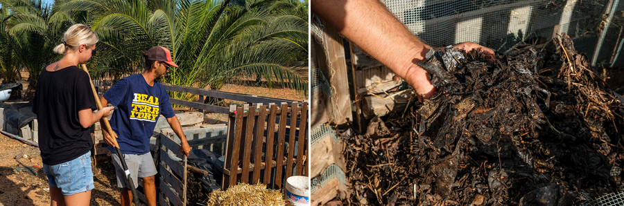 Cas Costas Gardener Essentialibiza 2019 By La Skimal016